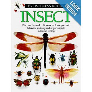 Insect (Eyewitness books) Dorling Kindersley Ltd 9780679804413 Books