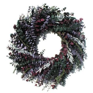 24 in. Vineyard Eucalyptus Wreath   Wreaths
