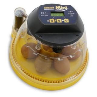Mini Advance Automatic Egg Incubator   Chicken Coop Accessories