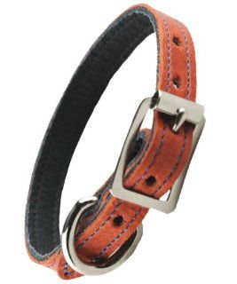 Perri's Leathers TCL 7033 10" Dog Collar, Small  Pet Fashion Collars 