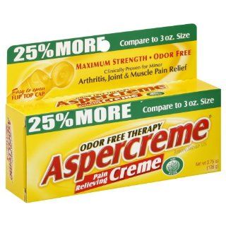 Aspercreme Pain Relieving Creme with Aloe    3 oz Health & Personal Care