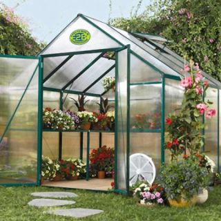 STC EasyGrow 8 x 8 Foot Greenhouse Kit   Greenhouses