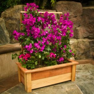 36 in. Redwood Planter with Trellis   Planters