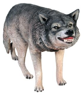 Design Toscano Call of the Wild Growling Gray Wolf Statue   Garden Statues