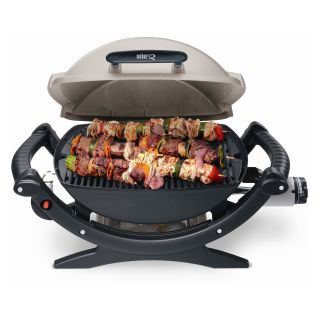 Weber Q 100 Gas Grill   Gas Grills