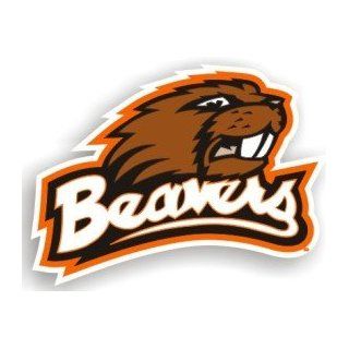 Oregon State Beavers Car Magnet  Sports Related Magnets  Sports & Outdoors