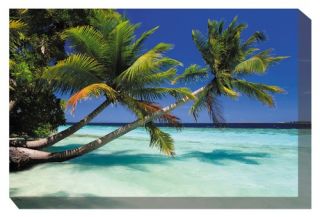 West of the Wind Palms Duo Canvas Outdoor Art   Outdoor Wall Art