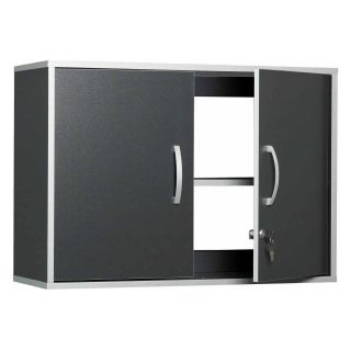 Talon 2 Door Wall Cabinet   Cabinets