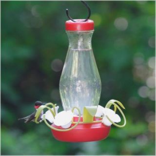 Perky Pet Hummingbird Funnel Fill Glass Bird Feeder   16 oz.   Bird Feeders