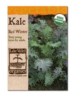 Lake Valley Seed 859 Organic Kale Red Winter Seed Packet, 2gm (Discontinued by Manufacturer)  Vegetable Plants  Patio, Lawn & Garden