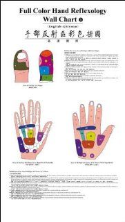 Full Color Hand Reflexology Wall Chart (English Chinese) (9787117080101) Dong FuHui Books