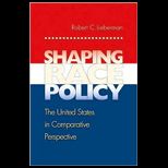 Shaping Race Policy  The United States in Comparative Perspective