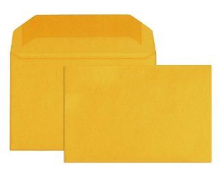 Columbian CO889 10x15 Inch Document Brown Kraft Envelopes, 100 Count  Legal Envelopes 