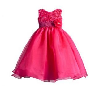 Classy 917 Sleeveless Special Occasion Flower Girl Dress (2T 10) Clothing