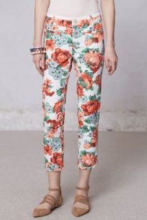 Anthropologie Tapestry Floral Charlie Trousers by Cartonnier  