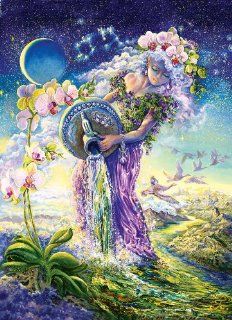 1000 Piece Aquarius Puzzle Art by Josephine Wall Toys & Games