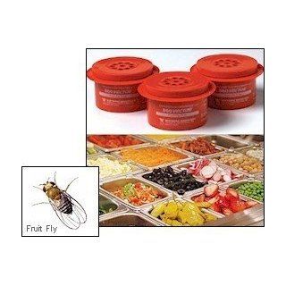Vector 960 Fruit Fly Traps 12 Traps