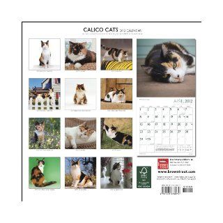 Calico Cats 2012 Square 12X12 Wall Calendar (Multilingual Edition) BrownTrout Publishers Inc 9781421676074 Books
