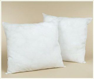 Set of Two Feather/Down EURO 30X30 Pillow Form 3.5 Pounds each