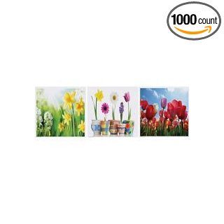 Hoffmaster Spring Multipack Printed Design Placemat, 10 x 14 inch    1000 per case.