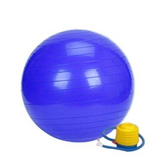 Professional Grade 300 lb. Fitness, Exercise Ball 75 cm (29") Blue Health & Personal Care