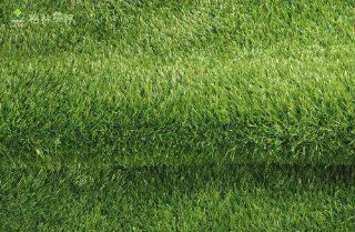 Premium Synthetic Turf Artificial Grass Area Rug (19.50 SF/pc) Perfect For Your Indoor, Patio and Outdoor The Certain Area   3/8 Inch Type with 15/10cm Stitch Rate and 25mm Pile Height, It Looks Real and Soft Touch, Our Product Has Added Another 23% in Plu