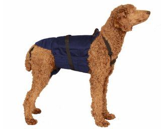 SammyDoo Pet Diaper Wrap Fits, Approximately 40 Pound to 75 Pound, 19 to 23 Inch, Girth 30 to 36 Inch, Large, Blue  Pet Training And Behavioral Aids 