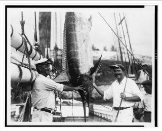 Historic Print (L) [Ernest Hemingway posed with Capt. Joe Russell of Key West beside hanging marlin or sail  