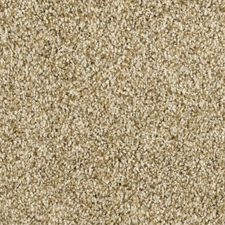 Shaw Soft & Cozy II Dunes Textured Indoor Carpet