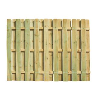 Pine Dog Ear Pressure Treated Wood Fence Panel (Common 6 ft x 8 ft; Actual 6 ft x 8 ft)