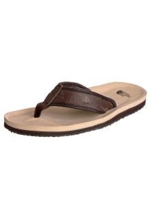 The North Face   M TREE POINT   Flip flops   brown
