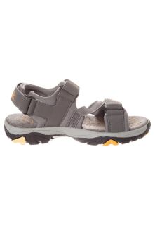 Jack Wolfskin WATERRAT   Walking sandals   grey
