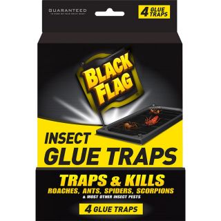 BLACK FLAG 4 Count Insect Glue Traps