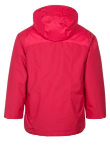 Patagonia Ski jacket   pink
