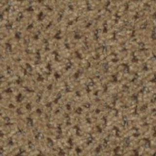 New Dimension Cinder Block Cut Pile Indoor Carpet