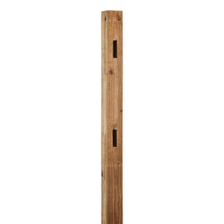 Split Rail Pressure Treated Wood Fence End Post (Common 5 ft; Actual 5.33 ft)