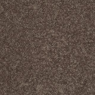 Shaw Essentials 7L53200703 Brown Textured Indoor Carpet