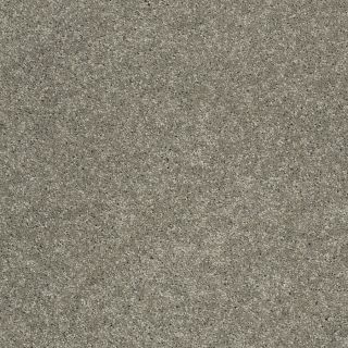 STAINMASTER Trusoft Luscious I Cape Cod Textured Indoor Carpet