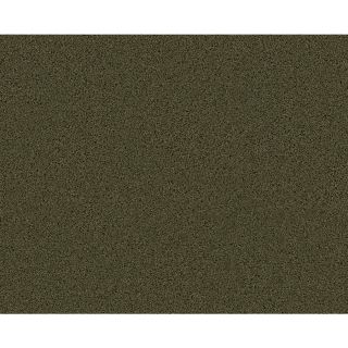Coronet Active Family B7037 Exhilarated Midway Textured Indoor Carpet