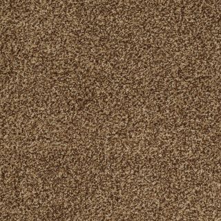 STAINMASTER Trusoft Peaceful Mood II Cocoa Pecan Textured Indoor Carpet