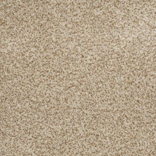 STAINMASTER Trusoft Private Oasis III Cappuccino Textured Indoor Carpet