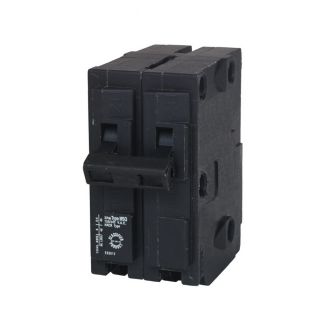 Murray QP 20 Amp Double Pole Circuit Breaker