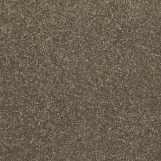 Shaw 7L52600300 Green Textured Indoor Carpet