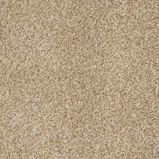 STAINMASTER Trusoft Peaceful Mood I Great Plains Textured Indoor Carpet