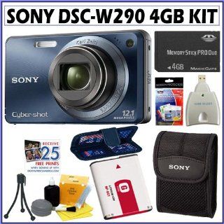 Sony Cyber shot DSC W290/L 12.1 MP Digital Camera in Blue + Sony Digital Came Point And Shoot Digital Camera Bundles  Camera & Photo