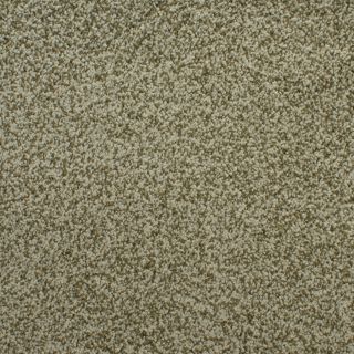 STAINMASTER Active Family Huntington Heights Green Textured Indoor Carpet