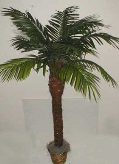 8' Real Wood Date palm Tree   Artificial Trees