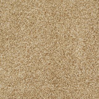 STAINMASTER Trusoft Peaceful Mood I Gold Rush Textured Indoor Carpet