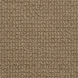 STAINMASTER Rich And Famous Baked Potato Level Loop pile Indoor Carpet