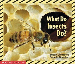 What Do Insects Do? (Science Emergent Reader) Susan Canizares 9780590397940 Books
